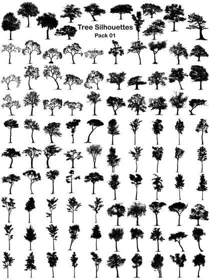 25 Best Tree Silhouette Images set (Free and Premium)