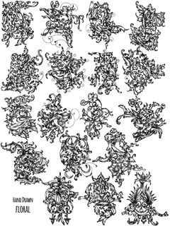 Hand Drawn Floral Ornaments