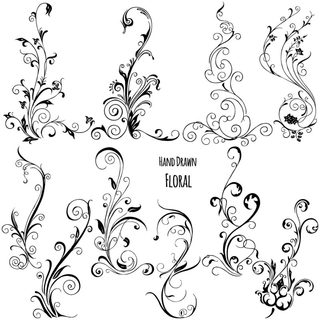 Hand Drawn Floral Elements