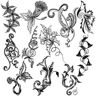 Black and White Floral Vector Elements