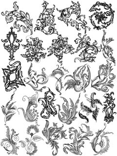 Elegant Floral Vector Ornaments