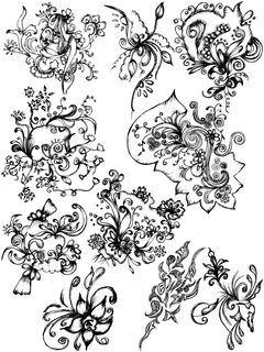 Floral Doodle Collection