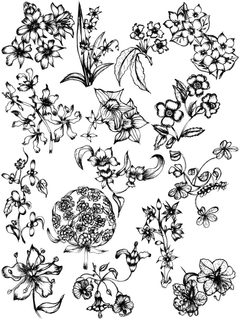 Floral Line Art Collection