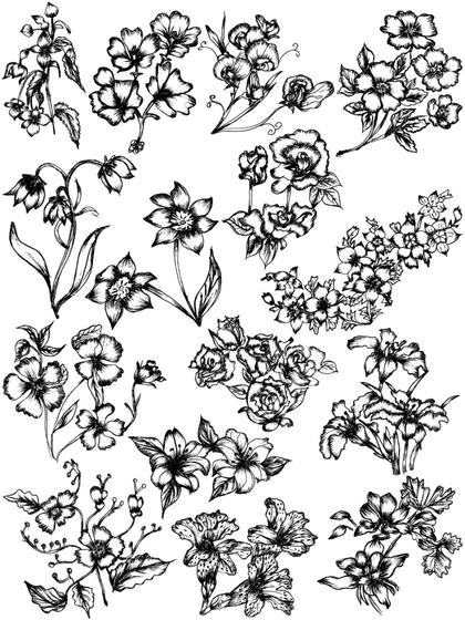 Floral Sketches Collection