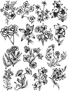 Floral Sketches Collection