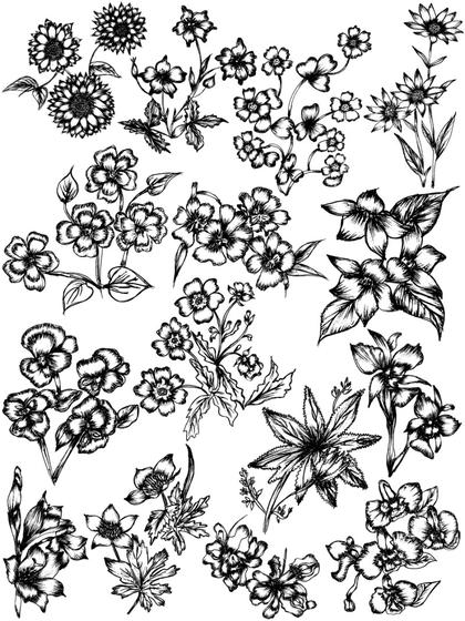 Floral Line Art Collection