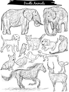 Doodle Animals