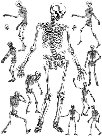 Eccentric Array of Skeleton Vector Art Designs