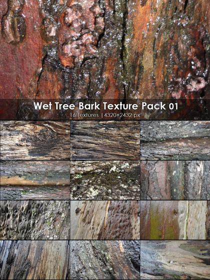 Wet Tree Bark Textures