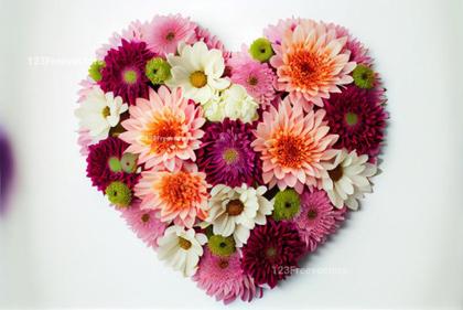 Flower Heart Shape White Background Isolated with Copy Space