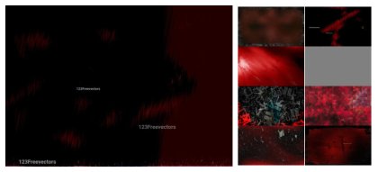 Captivating Red and Black Design Collection: 50+ High-Quality Images