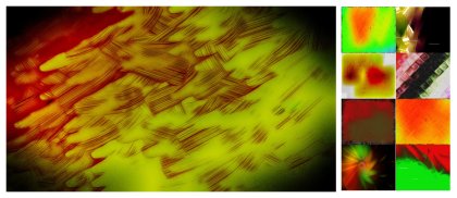 Vibrant Fusion: A Color Combo Red and Green Design Collection