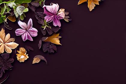 Midnight Blooms: Free Floral Designs on Dark Backgrounds for Mesmerizing Postcards