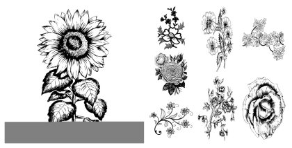 Floral Fantasy – A Flourishing Collection of Hand-Drawn Flower Vectors