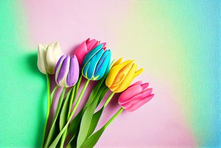 Vibrant Bouquet of Multicolored Tulips on Pastel Gradient Background