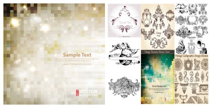 Discover the Uniqueness of the Vintage Vector Collection