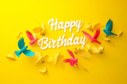 Birds Birthday