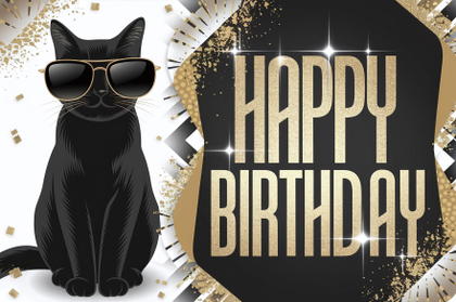 Cool Cat Birthday Invitation