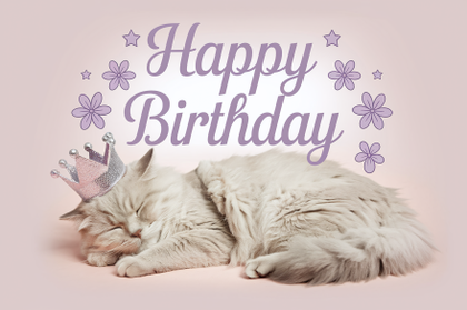 Sleeping Cat with Birthday Crown