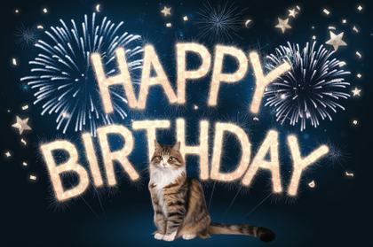 Cat Birthday Fireworks