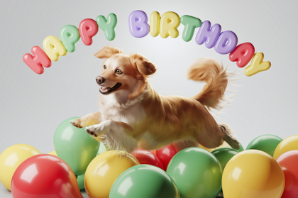 Happy Birthday Dog with Balloons