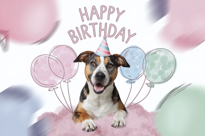 Happy Birthday Dog