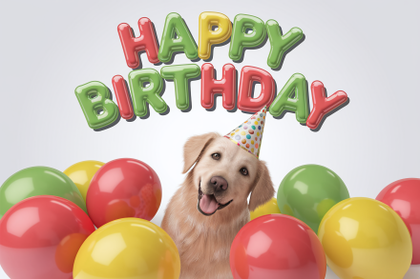 Happy Birthday Dog with Balloons
