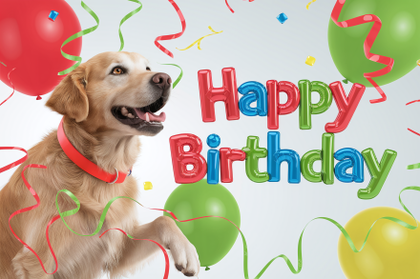 Happy Birthday Dog Party