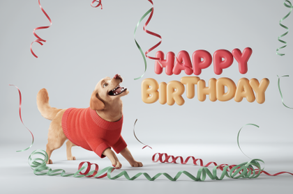 Happy Birthday Dog in Red Sweater
