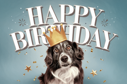 Happy Birthday Dog Wearing A Crown