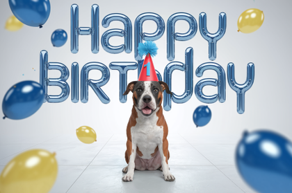Happy Birthday Dog