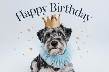 Happy Birthday Dog Wearing A Crown
