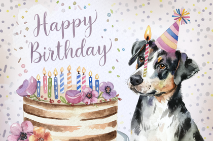 Dog Birthday Card
