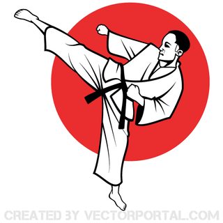 Karate Fighter Vector Image