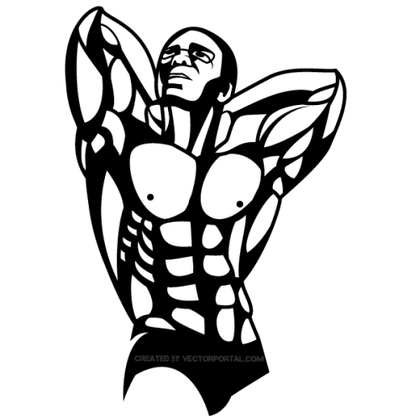 Bodybuilder Vector Art