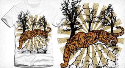 Tiger On Cracked Ground
