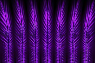 Abstract Purple Feather Beams