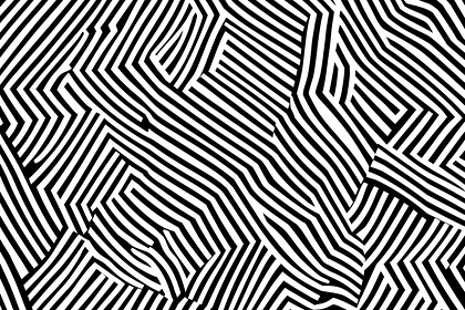 Abstract Zebra Stripes