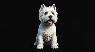 Westie dog portrait