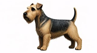 airedale terrier
