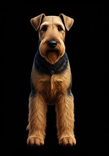 airedale terrier portrait