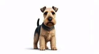 airedale-terrier-puppy