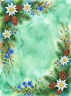 alpine botanical frame