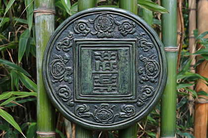 Ancient Chinese Coin On Bamboo