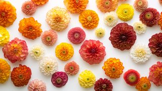 Autumn Floral Arrangement