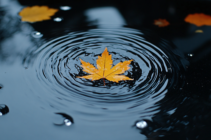 Autumn Leaf In Puddle Ripples