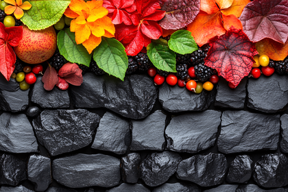 Autumn Leaves And Berries On Black Stones