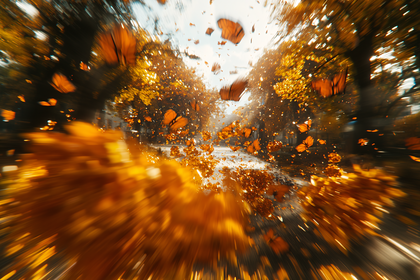 Autumn Leaves Swirling On Street