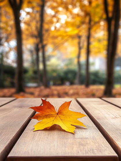 Autumn Maple Leaf on Wooden Table