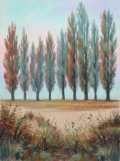 autumn poplar trees